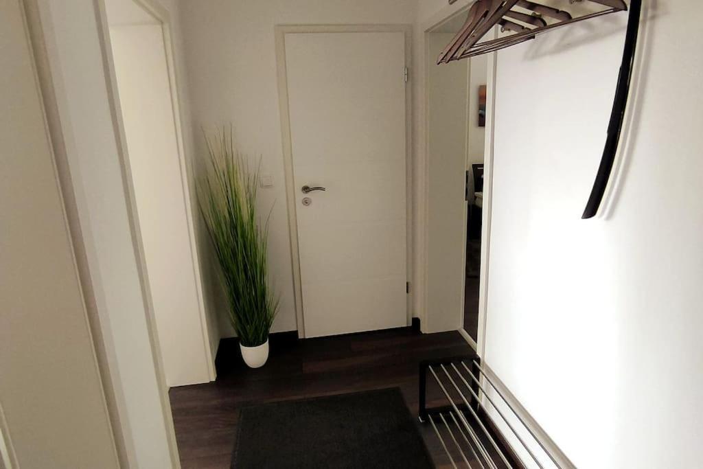 Apartment Neu Sanierte 2-zimmer Solingen